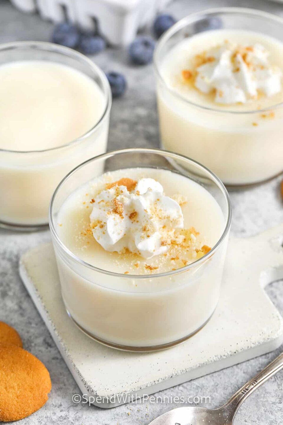 plated Vanilla Pudding with whipped cream