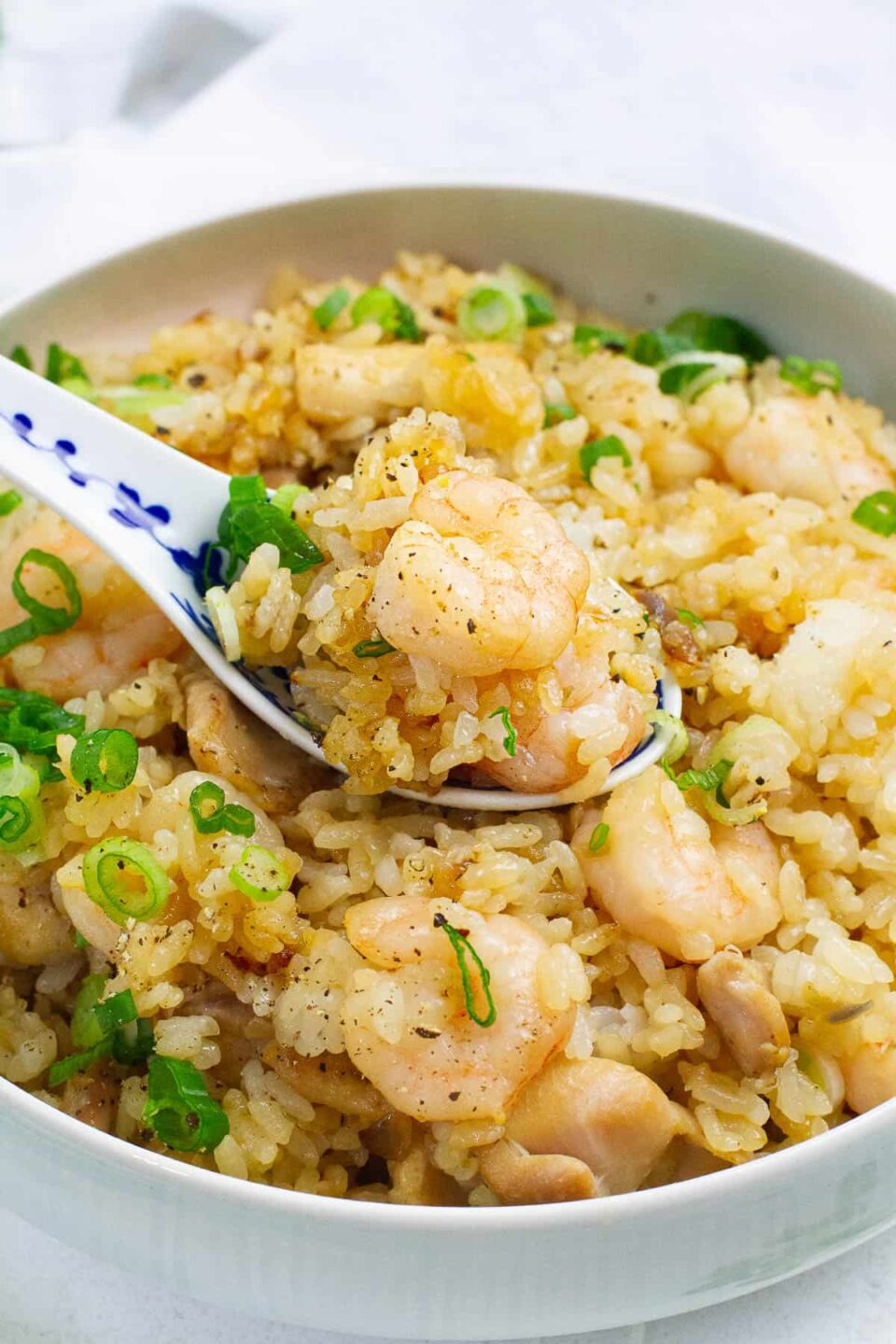Close up shot of shrimp chicken fried rice.