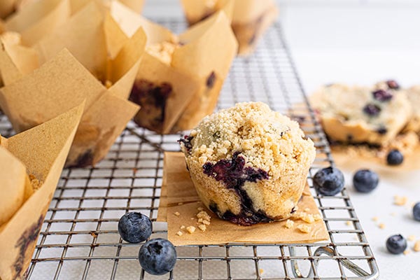 Gluten-Free Blueberry Streusel Muffin