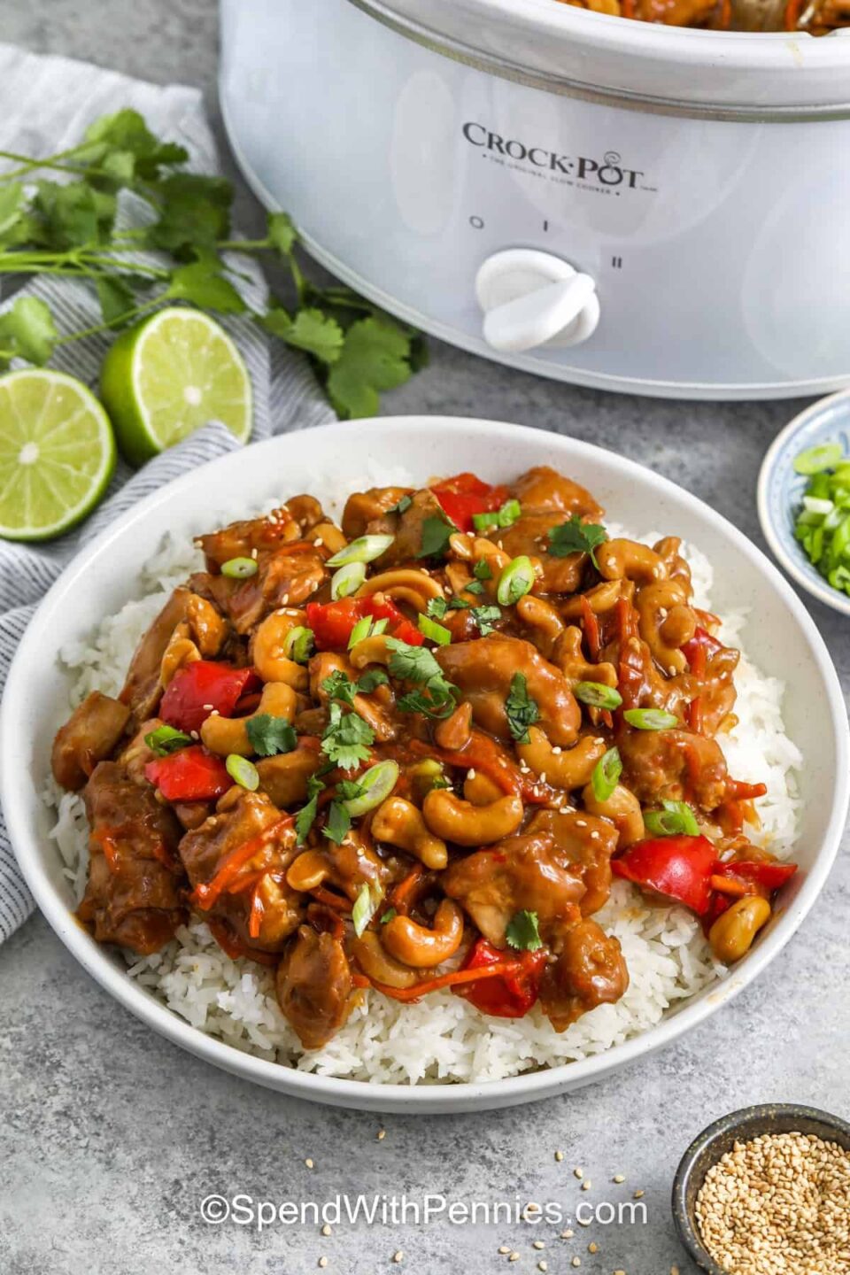Crockpot Cashew Chicken on rice and pot full in the back